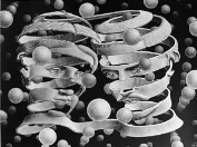 Escher